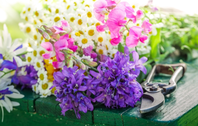 Planning Your Cut Flower Garden – Virtual